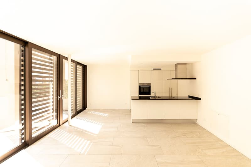 AFFITTASI INCANTEVOLE DUPLEX DI 3.5 LOCALI CON GIARDINO PRIVATO (3)