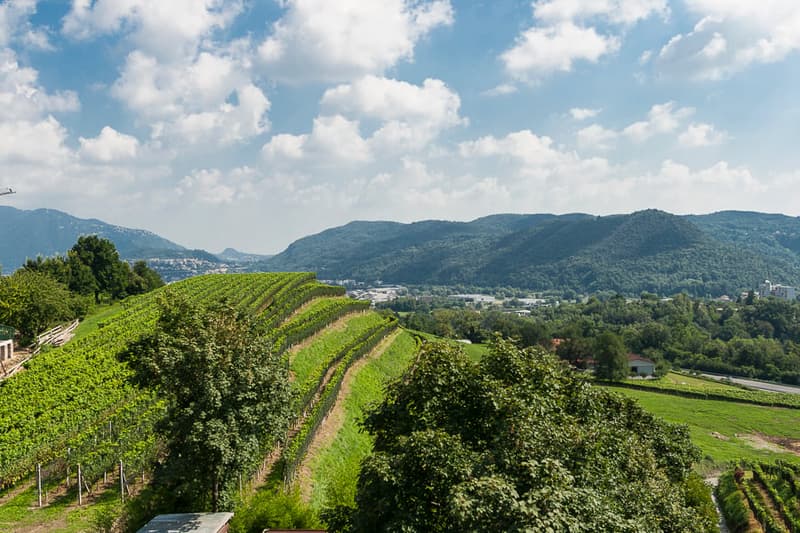 AFFITTASI INCANTEVOLE DUPLEX DI 3.5 LOCALI CON GIARDINO PRIVATO (11)