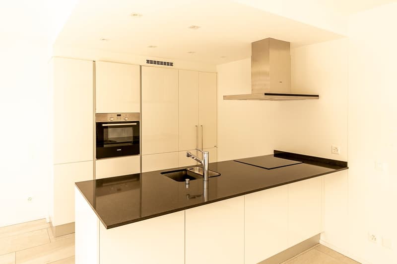 AFFITTASI INCANTEVOLE DUPLEX DI 3.5 LOCALI CON GIARDINO PRIVATO (4)