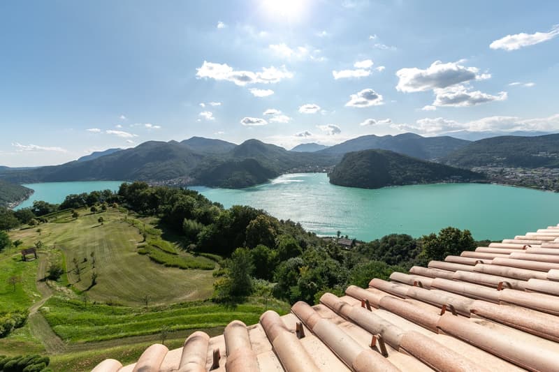 aerial view of a lake, mountains, and a green field