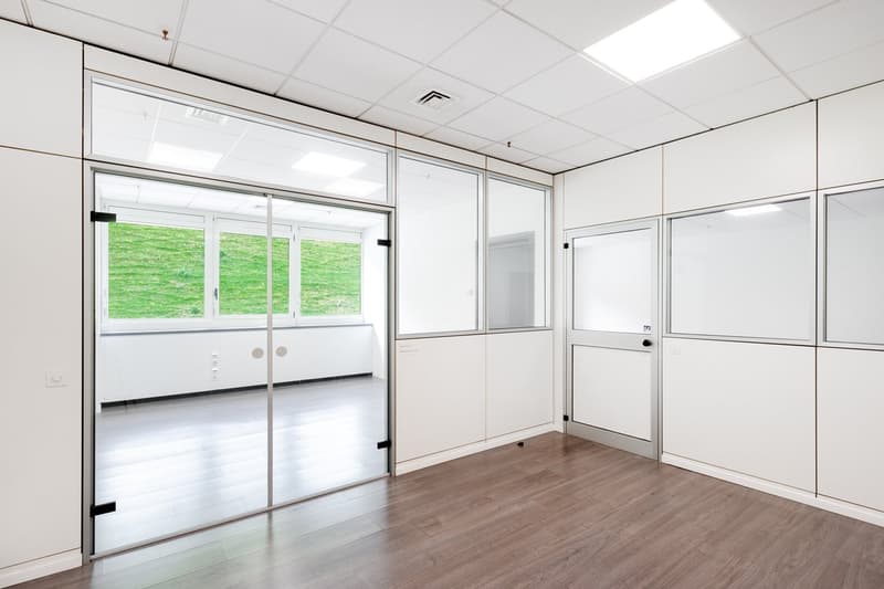 empty room, large glass doors, wooden floor, white walls, ceiling lights, view of a grassy area
