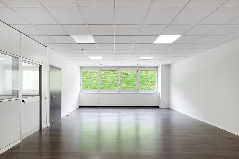 Empty room with white walls, wooden floor, large windows, and ceiling lights