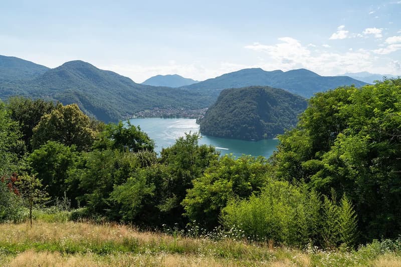 COLLINA D'ORO - AFFITTASI INCANTEVOLE APPARTAMENTO CON GIARDINO PRIVATO E VISTA LAGO (rif. 001) (14)