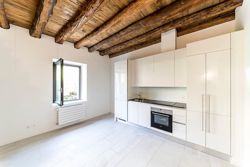 Affittasi luminoso appartamento duplex di 55 mq con giardino (8)
