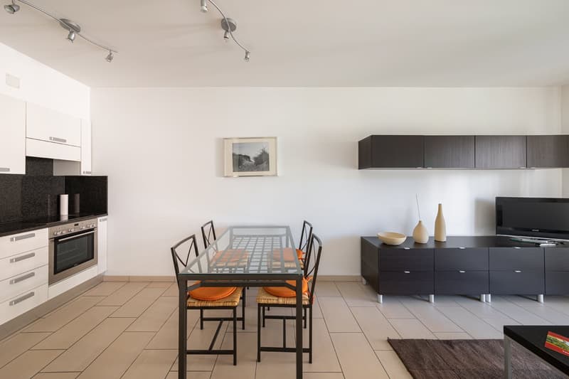 VIGANELLO - AFFITTASI APPARTAMENTO ARREDATO 2.5 CON BALCONE (Rif. A42) (4)