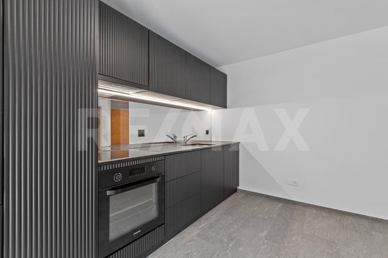 Charmante 3½ Zimmer- Ferienwohnung Nr. 2 (6)