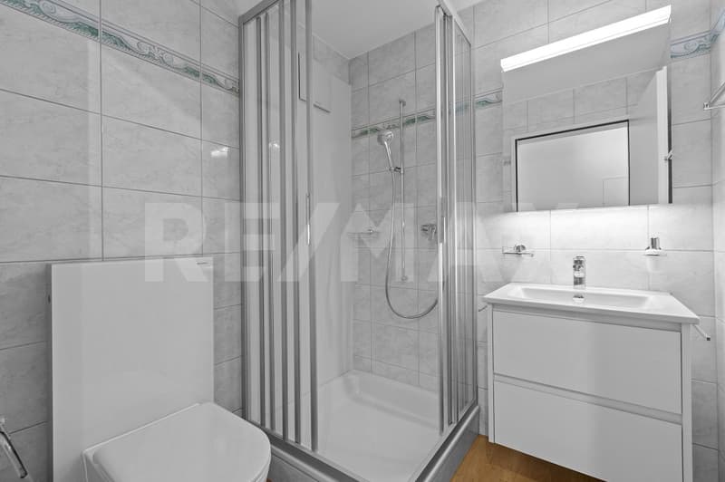 4 ½-Zimmer-Wohnung - frisch renoviert & bezugsbereit (10)