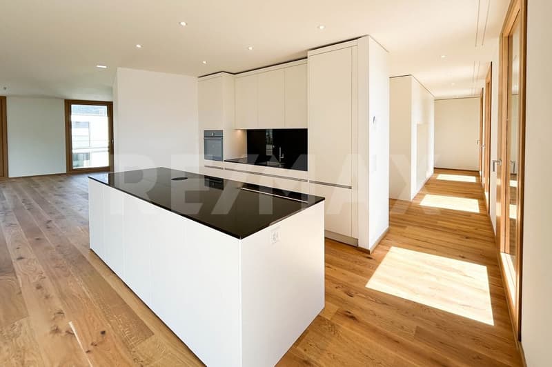 6½ Zimmerwohnung im Dachgeschoss, mit 400m² Terrasse. (7)