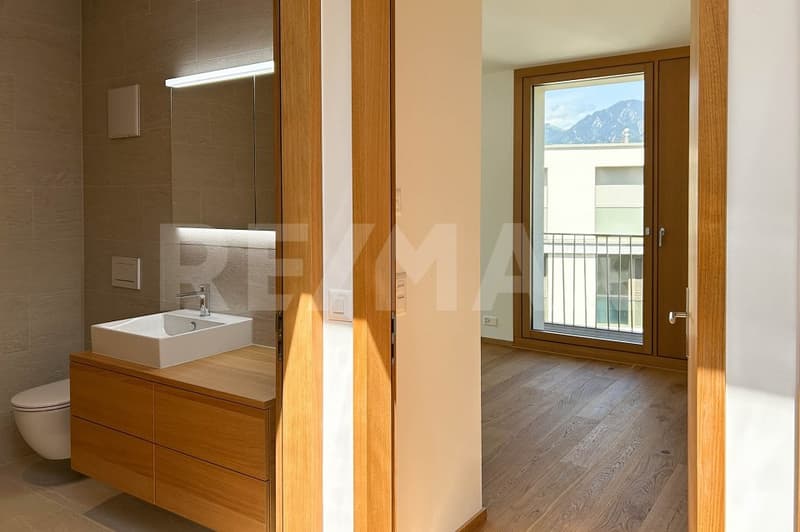 6½ Zimmerwohnung im Dachgeschoss, mit 400m² Terrasse. (11)
