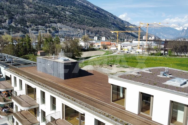 6½ Zimmerwohnung im Dachgeschoss, mit 400m² Terrasse. (3)