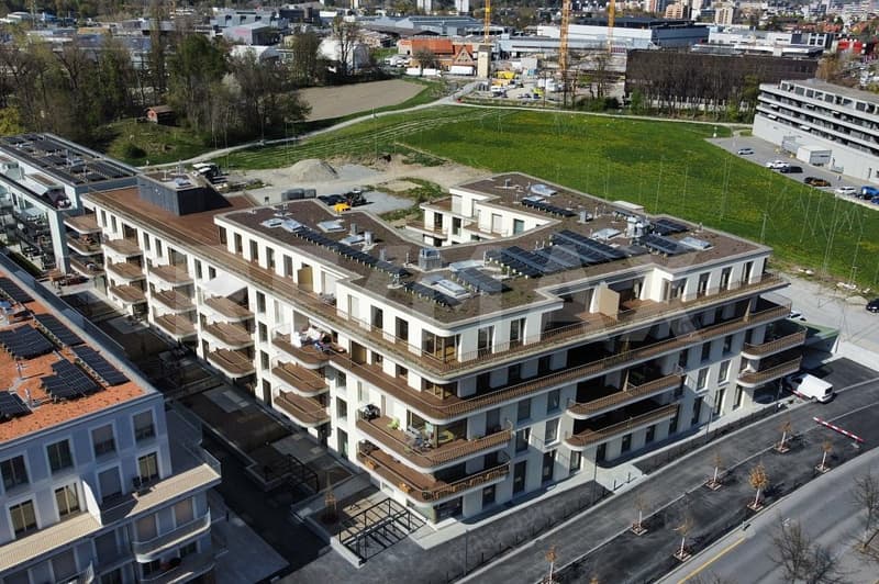 6½ Zimmerwohnung im Dachgeschoss, mit 400m² Terrasse. (4)