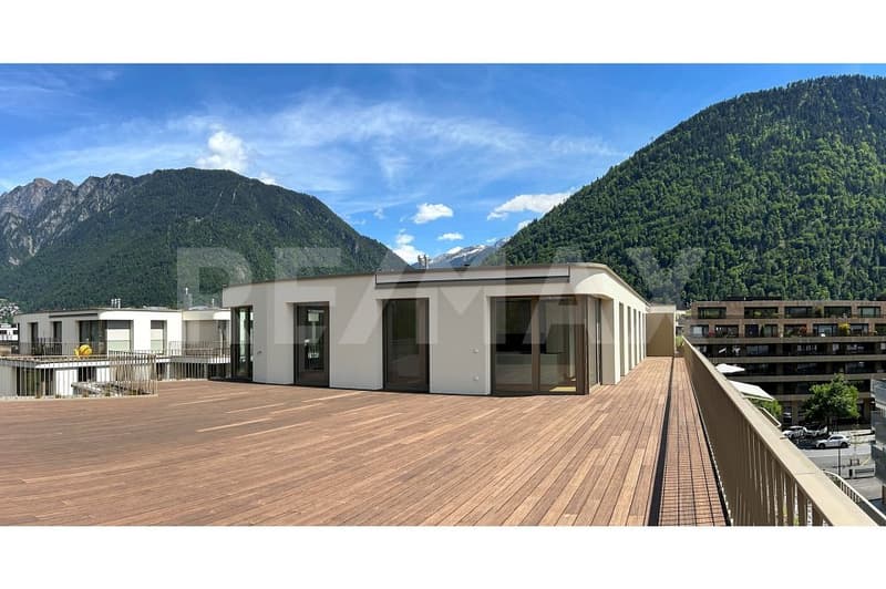 6½ Zimmerwohnung im Dachgeschoss, mit 400m² Terrasse. (2)