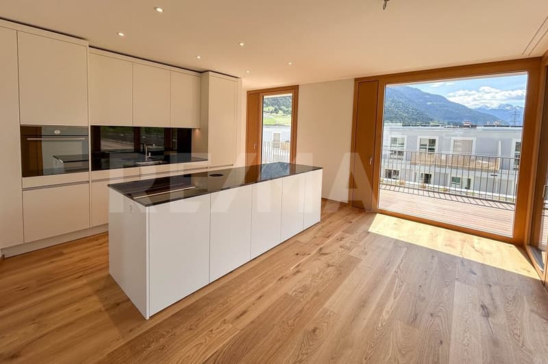 6½ Zimmerwohnung im Dachgeschoss, mit 400m² Terrasse. (5)