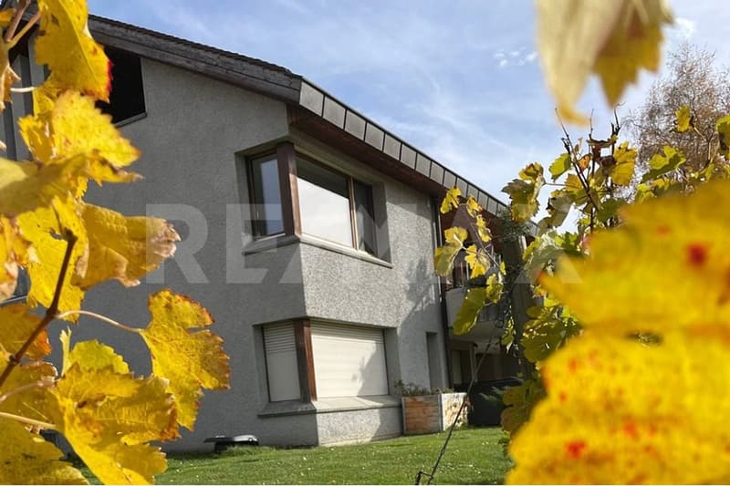 Wohnen in den Rebbergen von Malans - Herrschaftliches Einfamilienhaus zu vermieten (12)