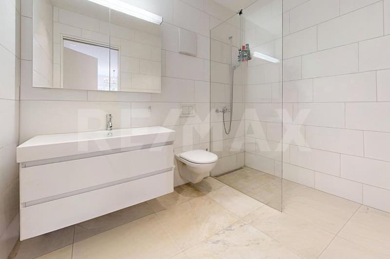 5½ Zimmerwohnung mit 2 Tiefgaragenplätzen und Disponibelraum (9)