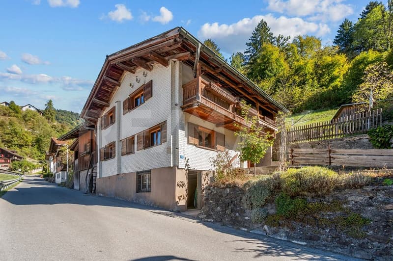 Einfamilienhaus mit Stallanbau und Ausbaupotenzial (1)