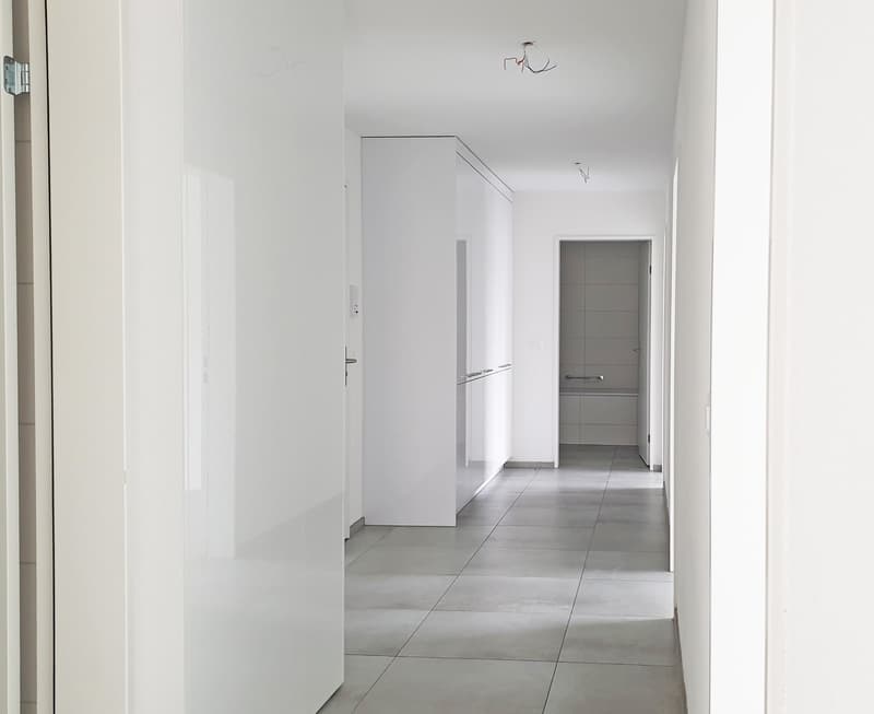 2.5-Zimmerwohnung  in Eglisau (2)
