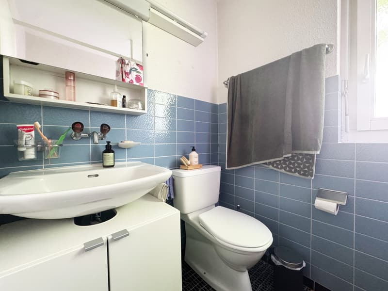 2.5-Zimmer Wohnung im ruhigen Quartier (6)