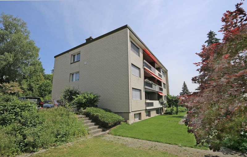 3.5-Zimmer Wohnung im ruhigen Quartier (8)