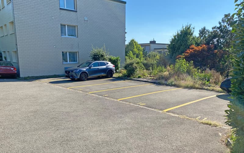 3.5-Zimmer Wohnung im ruhigen Quartier (10)