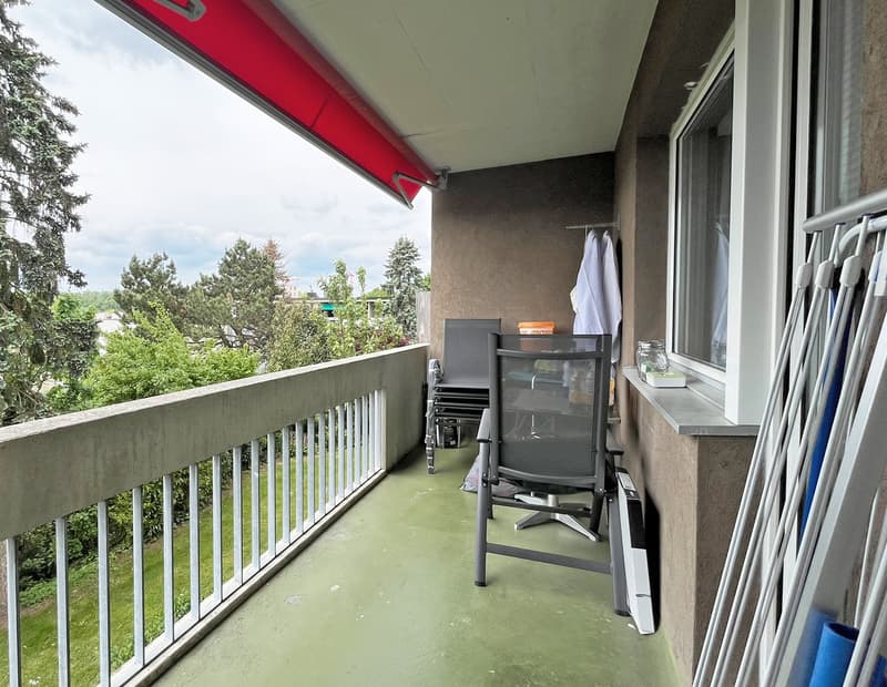 3.5-Zimmer Wohnung im ruhigen Quartier (3)