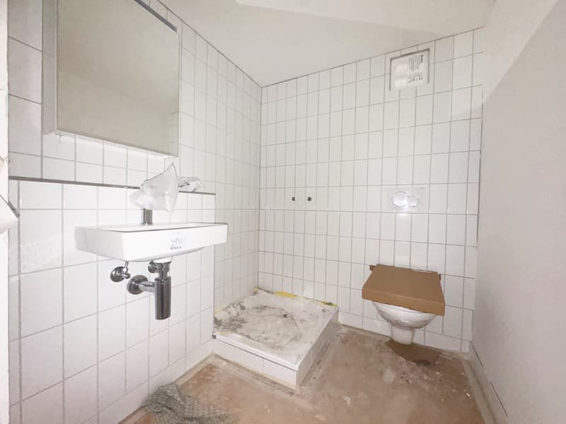 Nicht alltägliche 4.5 Zimmerwohnung / 1. Obergeschoss (9)