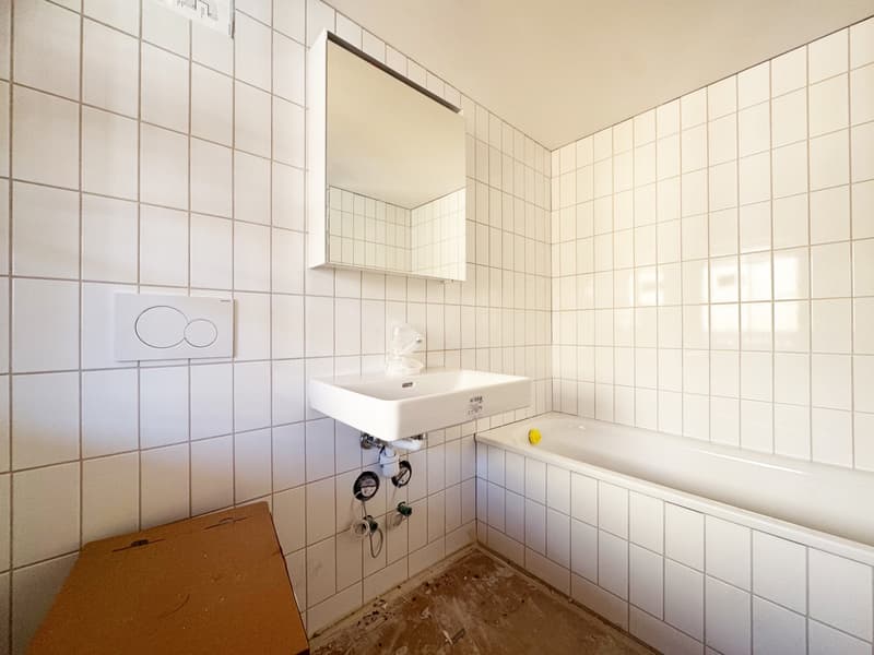 Nicht alltägliche 4.5 Zimmerwohnung / 1. Obergeschoss (10)