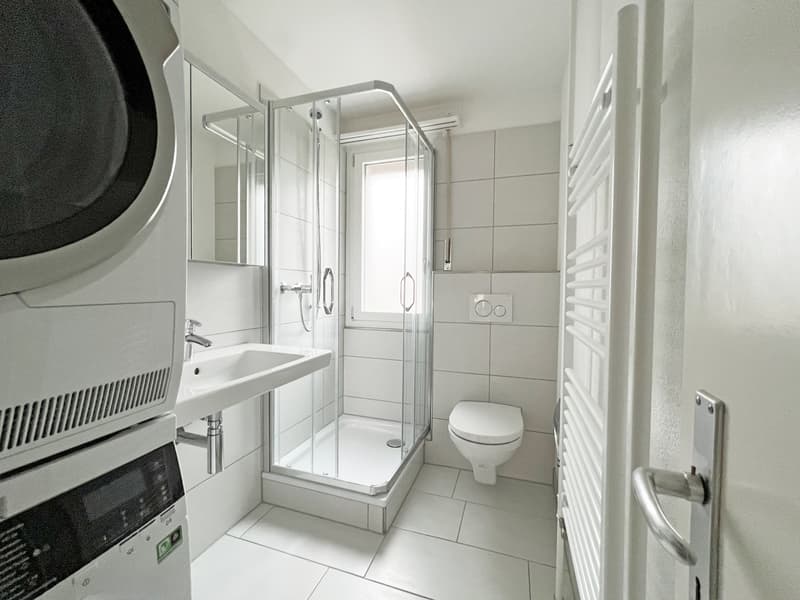 3.0 Zimmer Wohnung mit eigenem Waschturm (6)