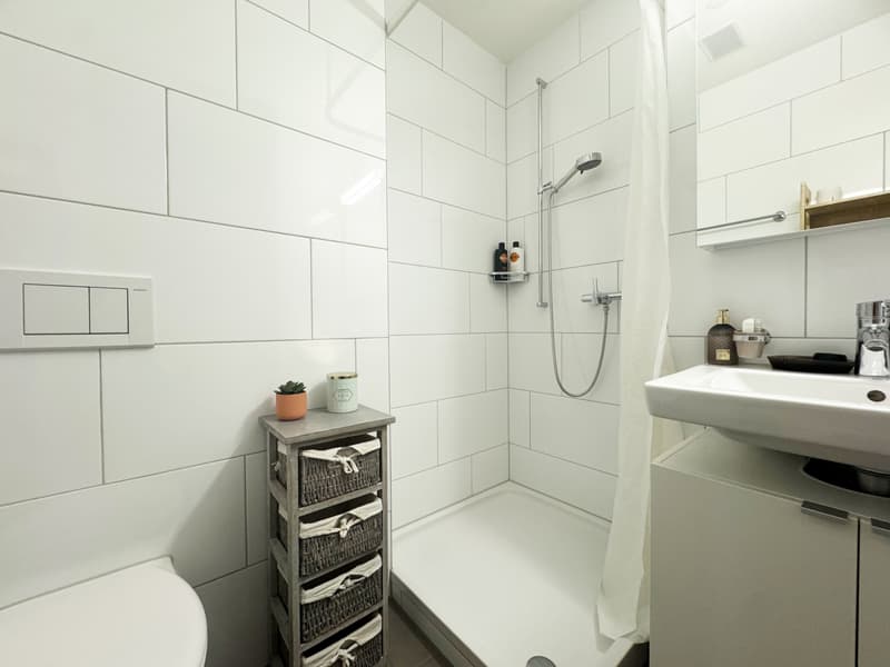 4.5 Zimmer-Wohnung mit eigenem Waschturm (8)