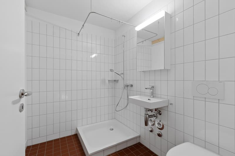 ERSTBEZUG / 5.5-Zimmer Reihenhaus (6)