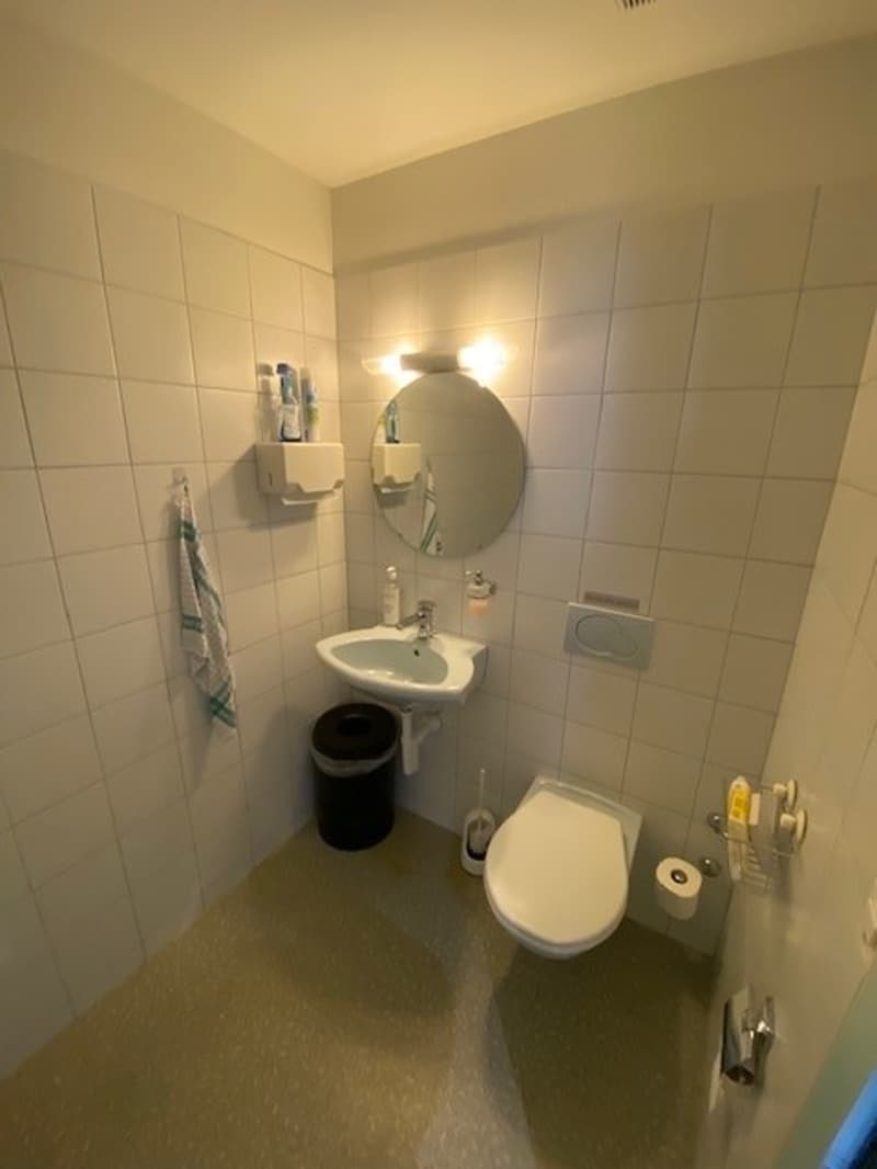 white tiles, toilet, sink, shower, mirror