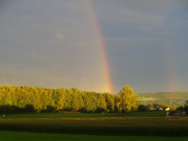 Double rainbow over lush fields and trees, with distant mountains