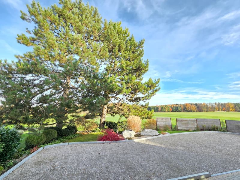 gravel driveway, green grass, trees, small bushes, shrubs, rocky hill, wide green field