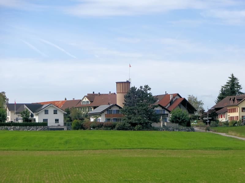 House with red roof, chimney, red shutters, solar panels, flags, garden