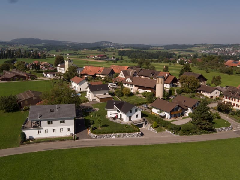 Cluster of houses, rural area, various house sizes, green fields, mountains in the background