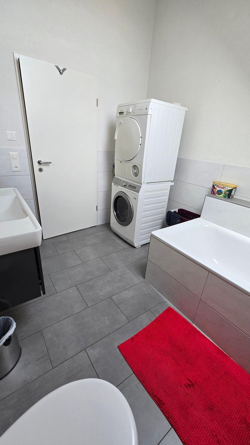 laundry machines, bathtub, sink, toilet, red mat