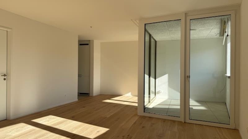 Zentraler Neubau in Weinfelden (2)