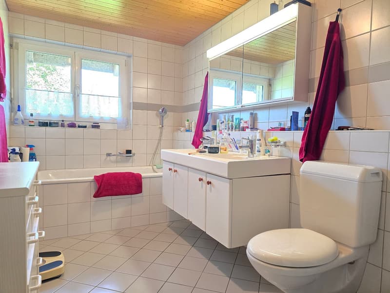 Püntenstrasse 12, Frauenfeld, Erzenholz