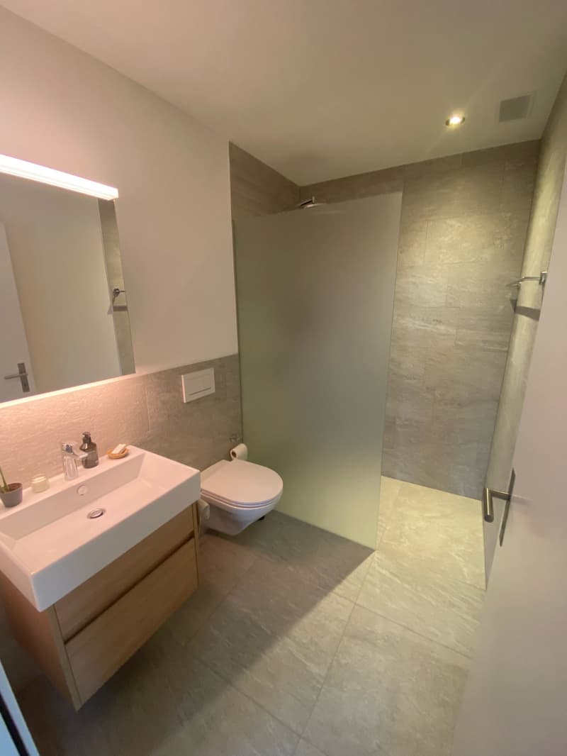 Moderne 4.5-Zimmer-Wohnung in Rothenhausen (7)