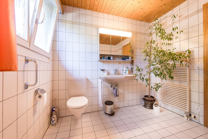 Badezimmer mit Badewanne, Dusche, Lavabo und WC