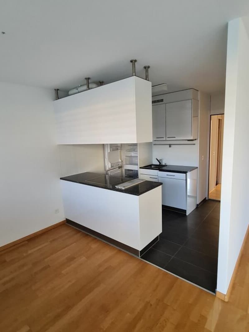 Helle 4.5-Zimmerwohnung mit Gartensitzplatz (2)