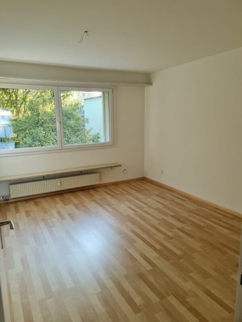Helle 4.5-Zimmerwohnung mit Gartensitzplatz (4)