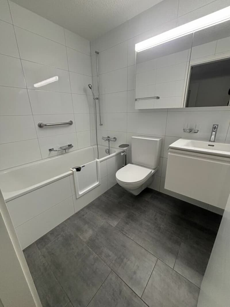 Grosszügige 2.5-Zimmerwohnung an ruhiger Lage (2)