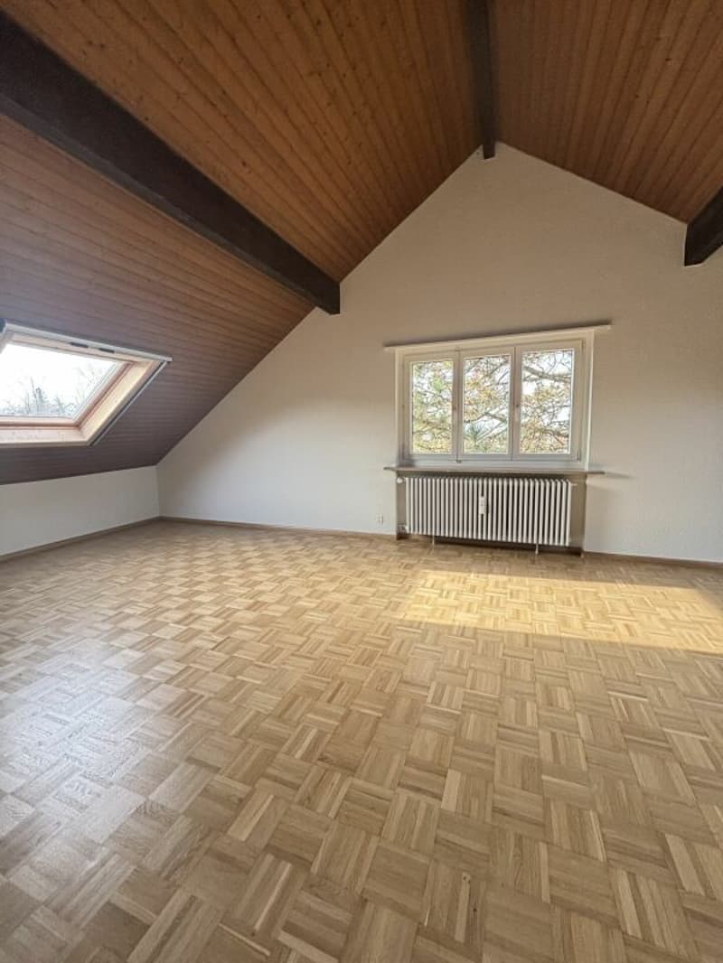 Grosszügige 2.5-Zimmerwohnung an ruhiger Lage (3)