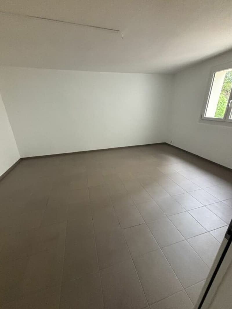 Grosszügige Gewerbe-/Büroräumlichkeit (3)