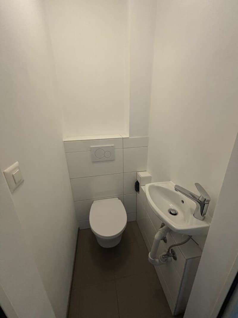 Grosszügige Gewerbe-/Büroräumlichkeit (4)