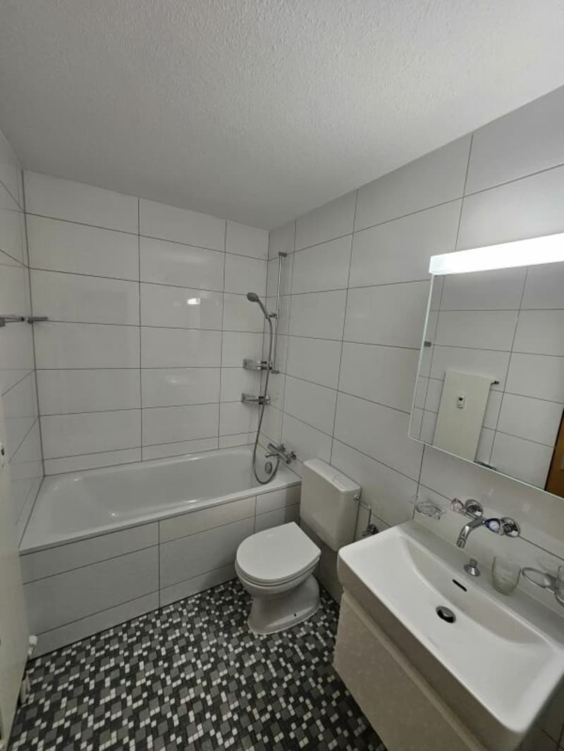 Geräumige 2.5-Zimmerwohnung an ruhiger Lage (2)
