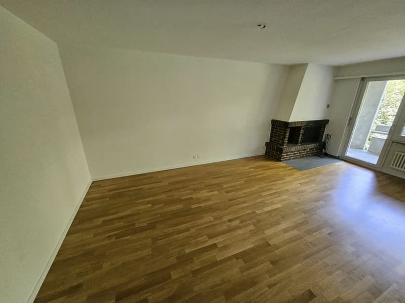 Geräumige 2.5-Zimmerwohnung an ruhiger Lage (3)