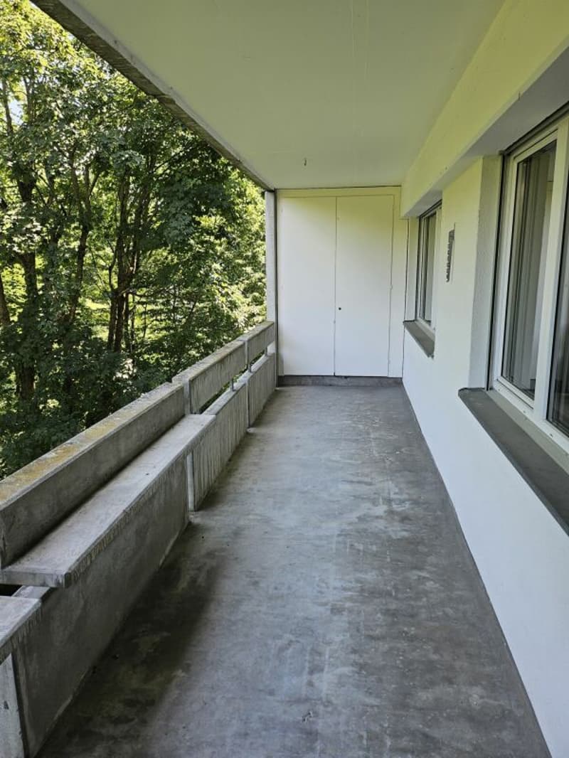 Geräumige 2.5-Zimmerwohnung an ruhiger Lage (4)