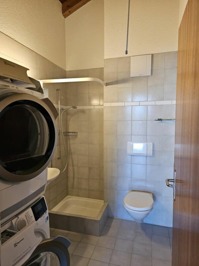 grosse 3.5-Zimmer-Dachwohnung mit eigenem Waschturm (7)